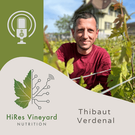 Thibaut Verdenal in a vineyard in Switzerland on podcast episode cover art.