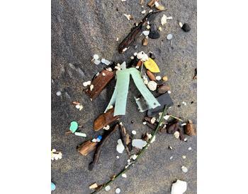green wad in marine debris